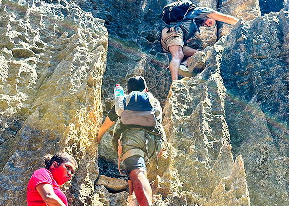 Stone Forest Exploration