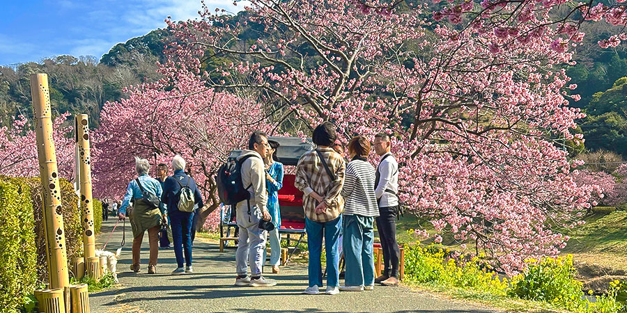 Kumano Kodo, Wakayama