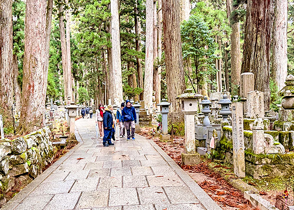 Kumano Kodō Trail