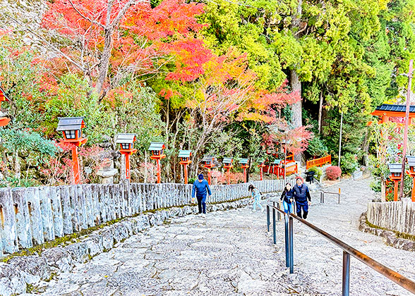 Kumano Nachi Taisha in Autumn