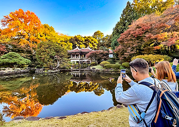 Kyoto Gyoen National Garden