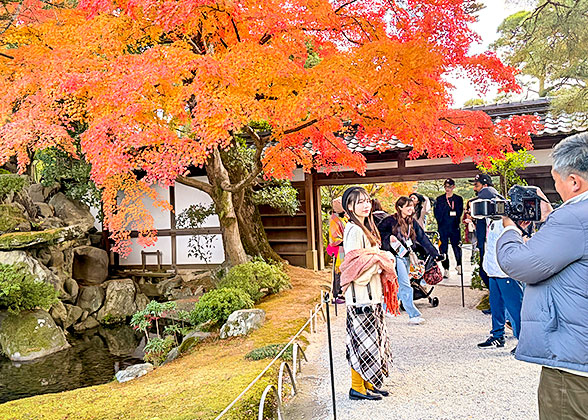 Kyoto Imperial Palace in Autumn