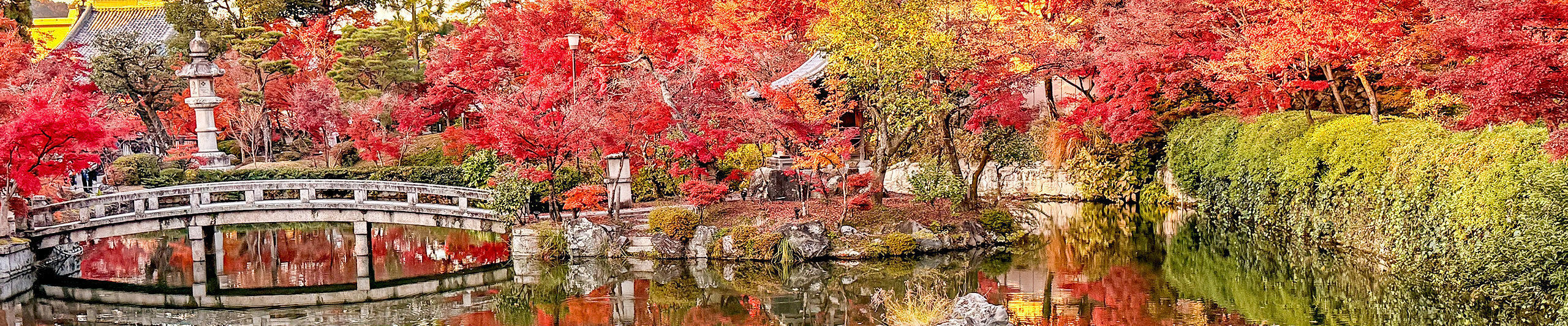 Kyoto in Red Foliage Season Kyoto in Red Foliage Season