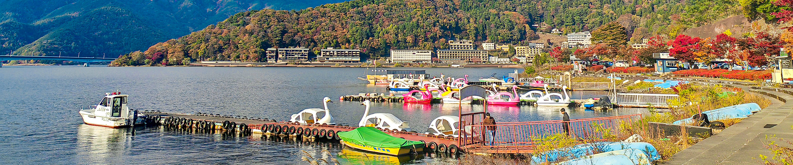 Maple Leaves around Lake Kawaguchi