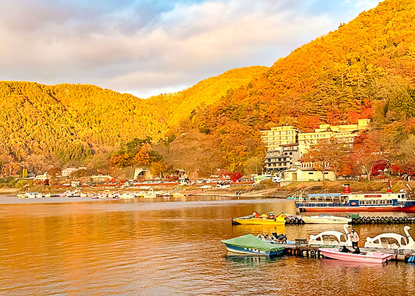 Golden Fall Foliage View