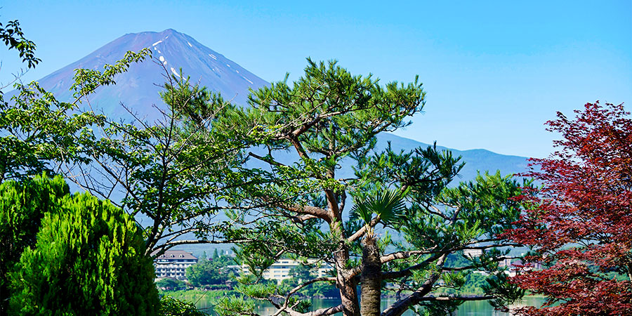 Autumn in Lake Kawaguchi