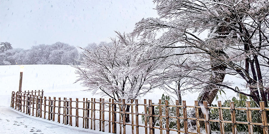 Heavy Snow in Lake Kawaguchi