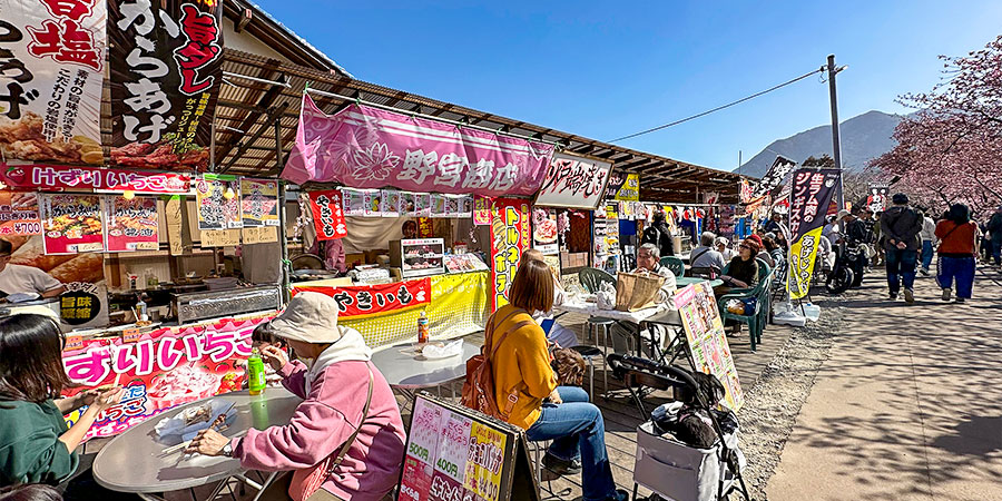 Stalls at Lake Kawaguchi Sakura Festival