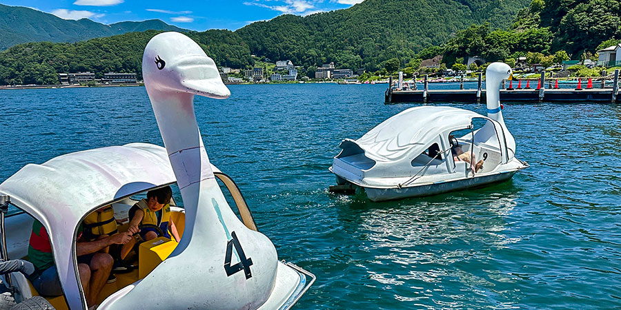 Swan Boat in Lake Kawaguchi