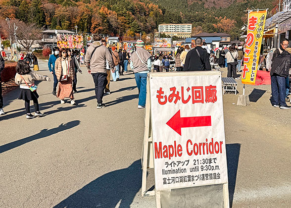 Tourists in Fall Foliage Season