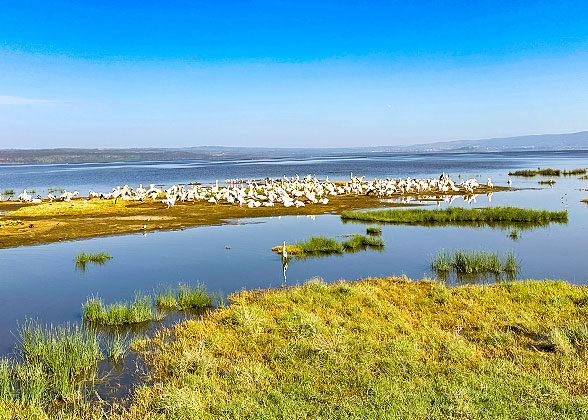 Lake Sudochie