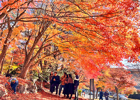 Lake Yamanaka in Autunm