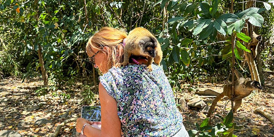 Lemur on Shoulder of Tourist