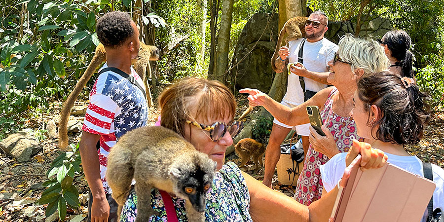 Lemurs on Lemuria Land