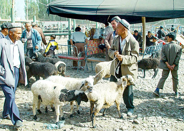 Local Bazaar in Urumqi
