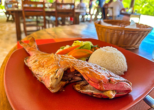 Taste the Local Fish Dish in Fiji