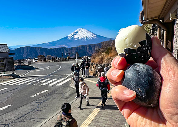 Try the Black Egg