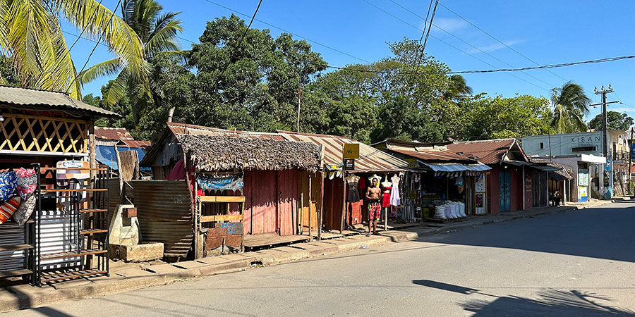 Sunny Street View in May