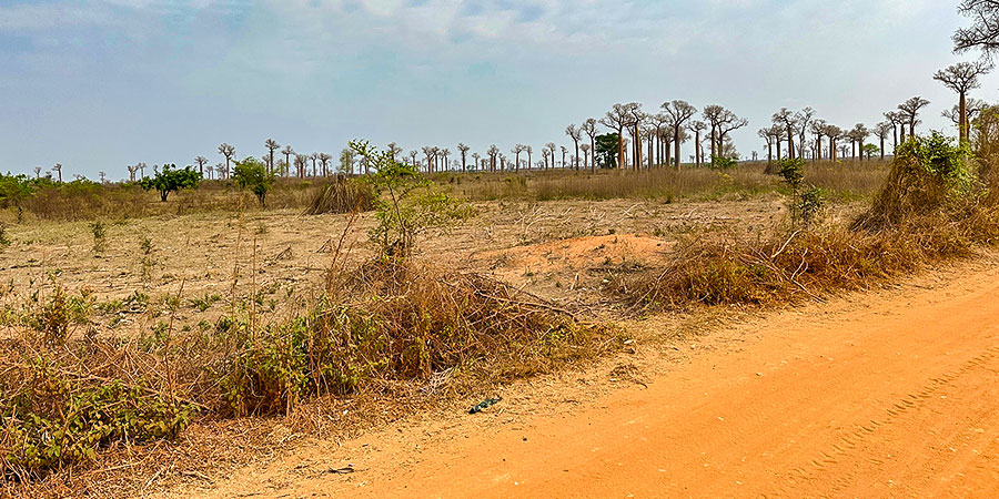Dry September