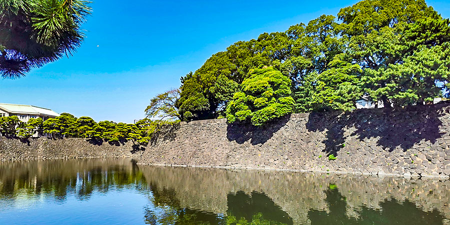 Natural Scenes in Maizuru Park Natural Scenes in Maizuru Park