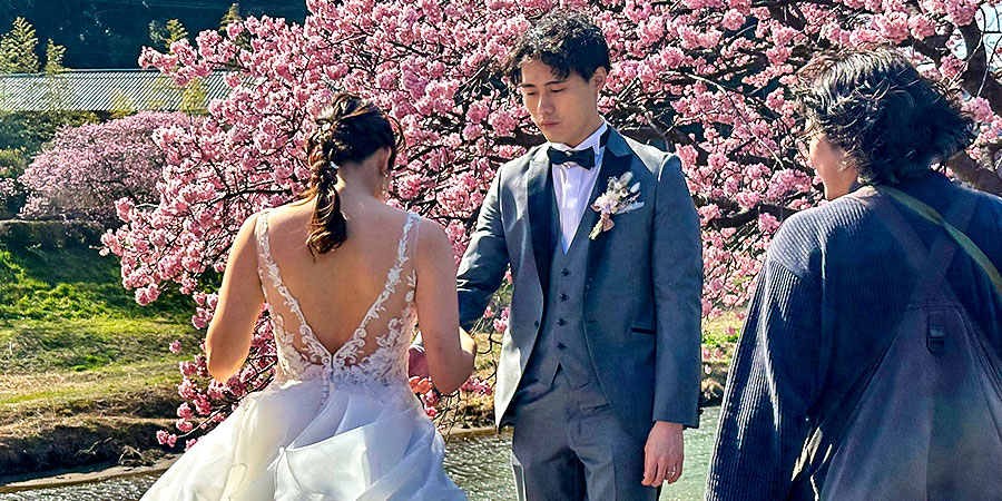 Romantic Proposal under the Cherry Blooms