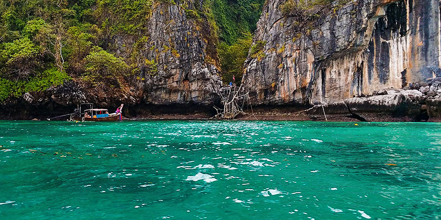 Malaysia Mangrove River Cruise