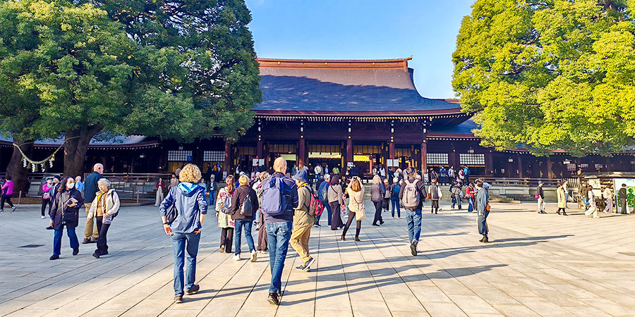 Meiji Jingu Shrine in High Season