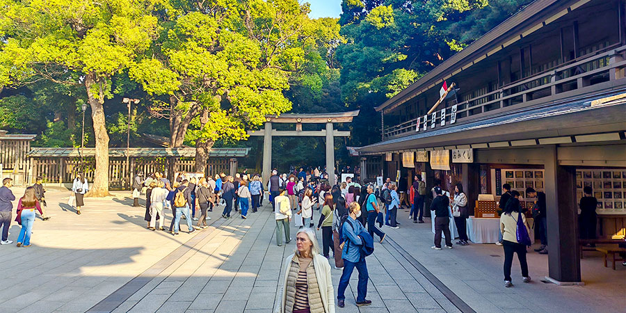Meiji Jingu Shrine in March