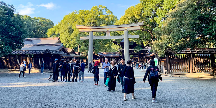 Meiji Jingu Shrine in May