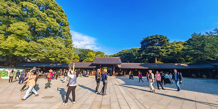 Meiji Jingu Shrine in November