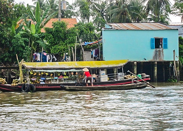 Mekong Delta