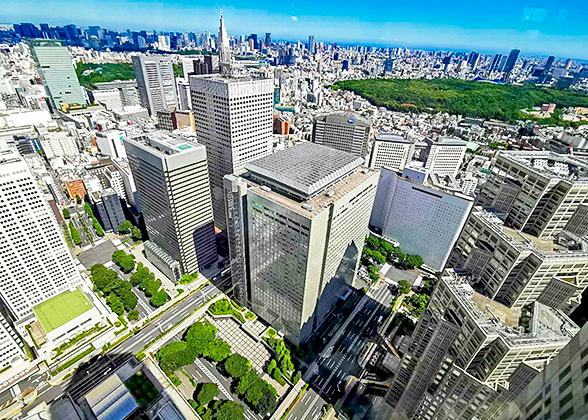 Overlook from Metropolitan Government Building