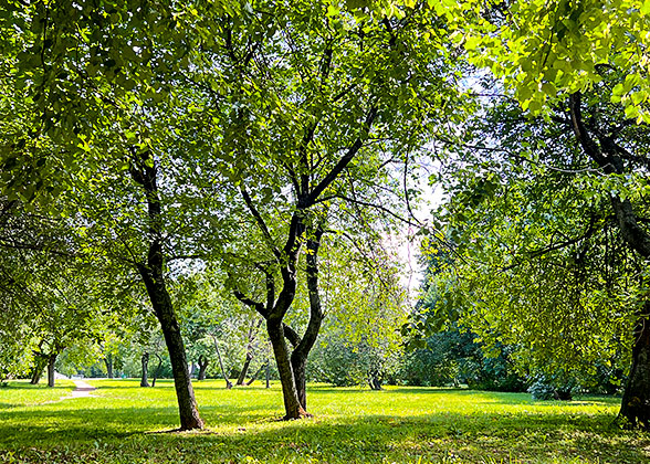 Mild Weather in May of Kazakhstan