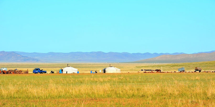 Golden Atumn in Mongolia