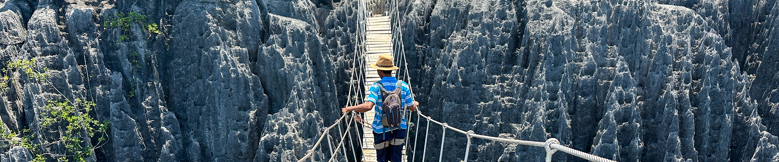 Bemaraha National Park