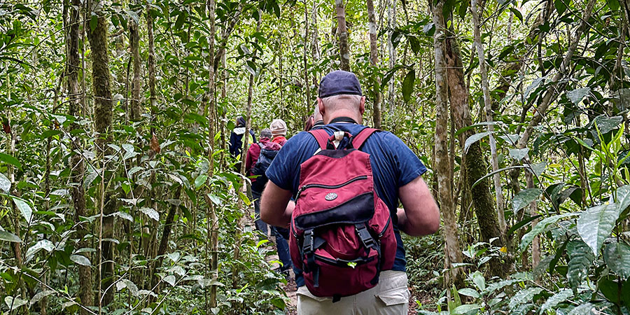 Lush Kirindy Mitea National Park in Rainy February