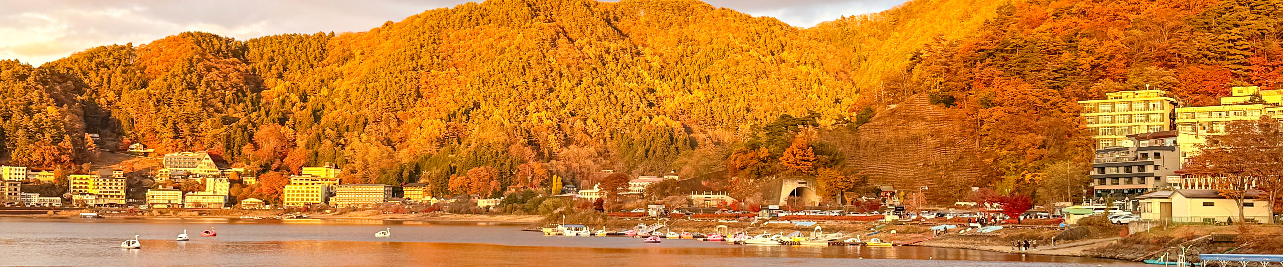 Autumn Scenery of Mount Fuji Autumn Scenery of Mount Fuji