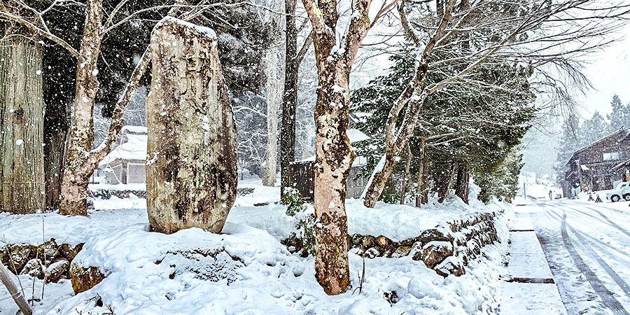 Mount Fuji in January