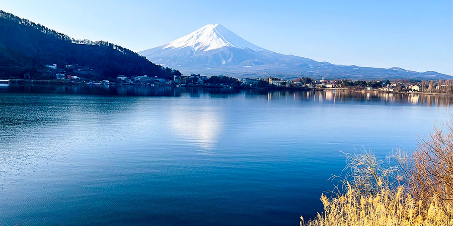 High Visibility in January