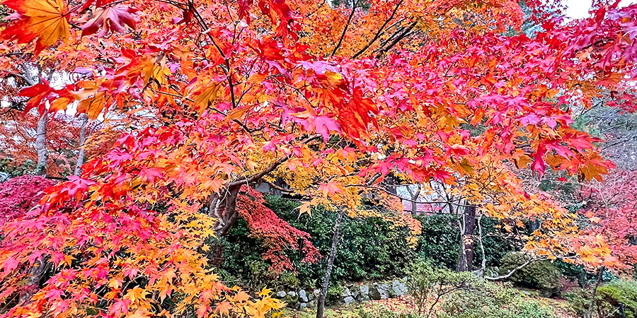 Mount Tenguyama in Autumn