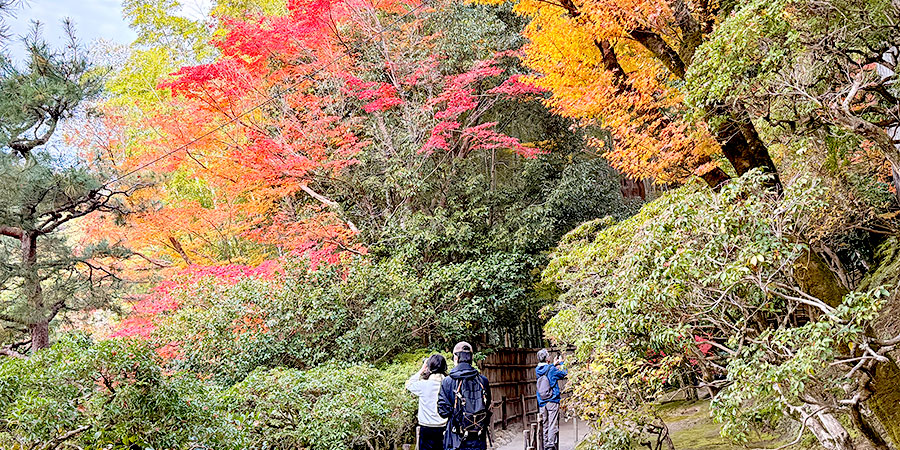 Mount Tokachi in Autumn