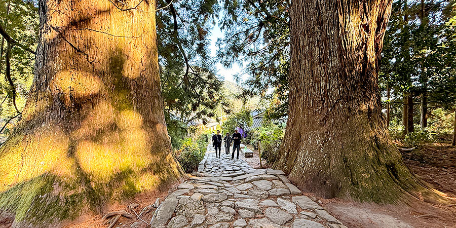 Mountain Hiking in Sapa