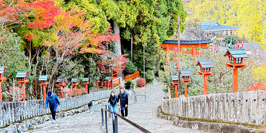Mountain Koya in Autumn