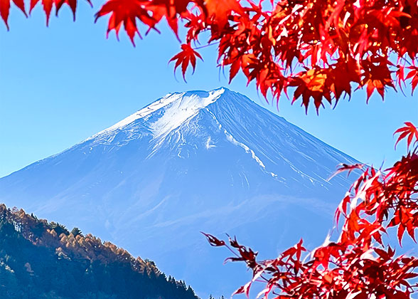 Mt. Fuji in Autumn