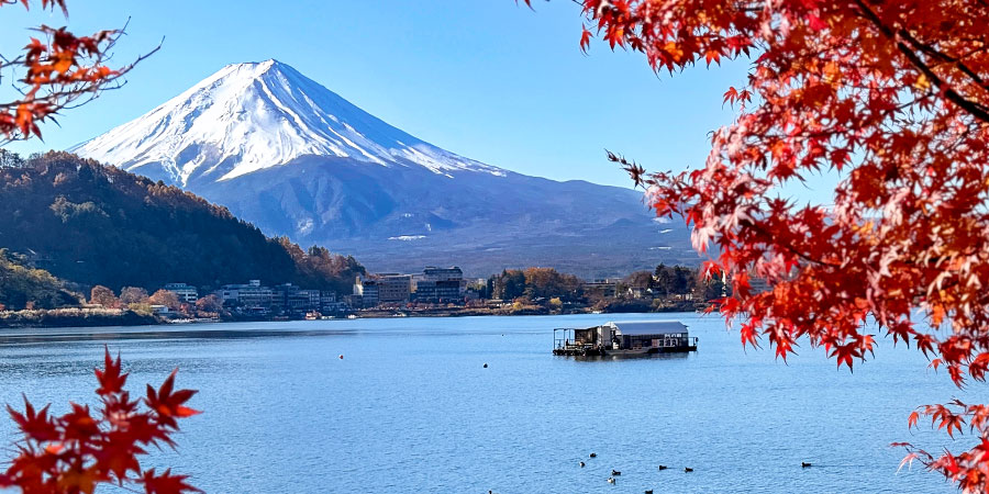Mt. Fuji with Lake Kawaguchi in Autumn