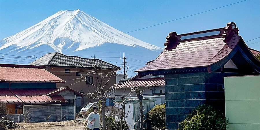 Snowcapped Fuji in Winter