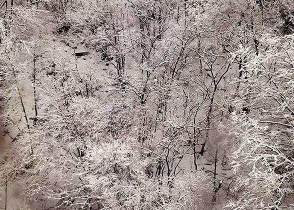 Shinhotaka Ropeway