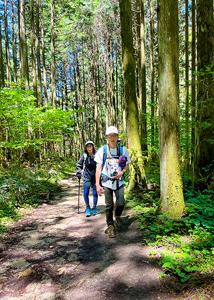 Hike among Togakushi Cedar Forests
