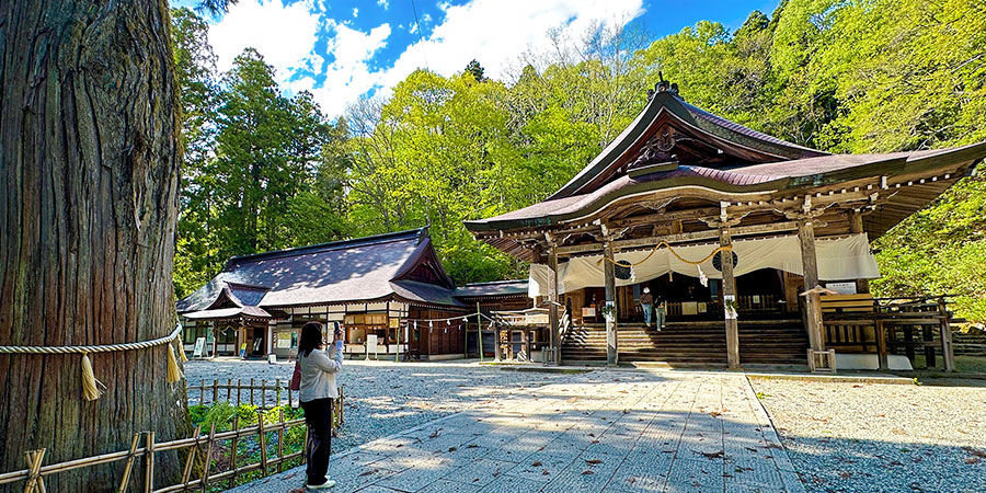 Togakushi Shrine in July