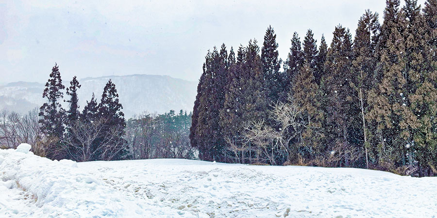 Togakushi in January